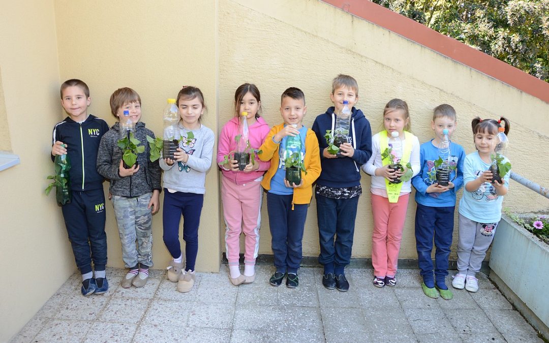 Zeleni dan na matični šoli